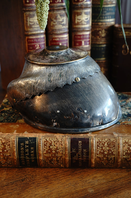 Antique Commemorative Horse Hoof Trophy (Norton)