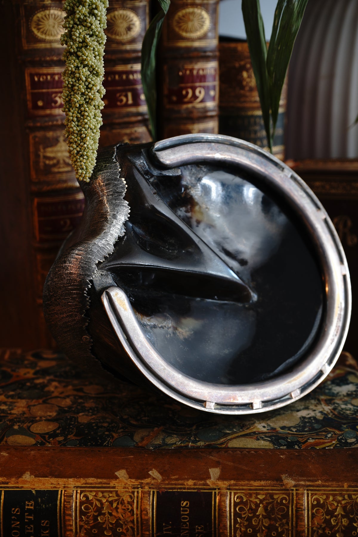 Antique Commemorative Horse Hoof Trophy (Norton)