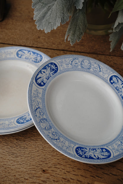 Antique Blue & White Porcelain Bird Plates Circa 19th c. (Set of 8 )