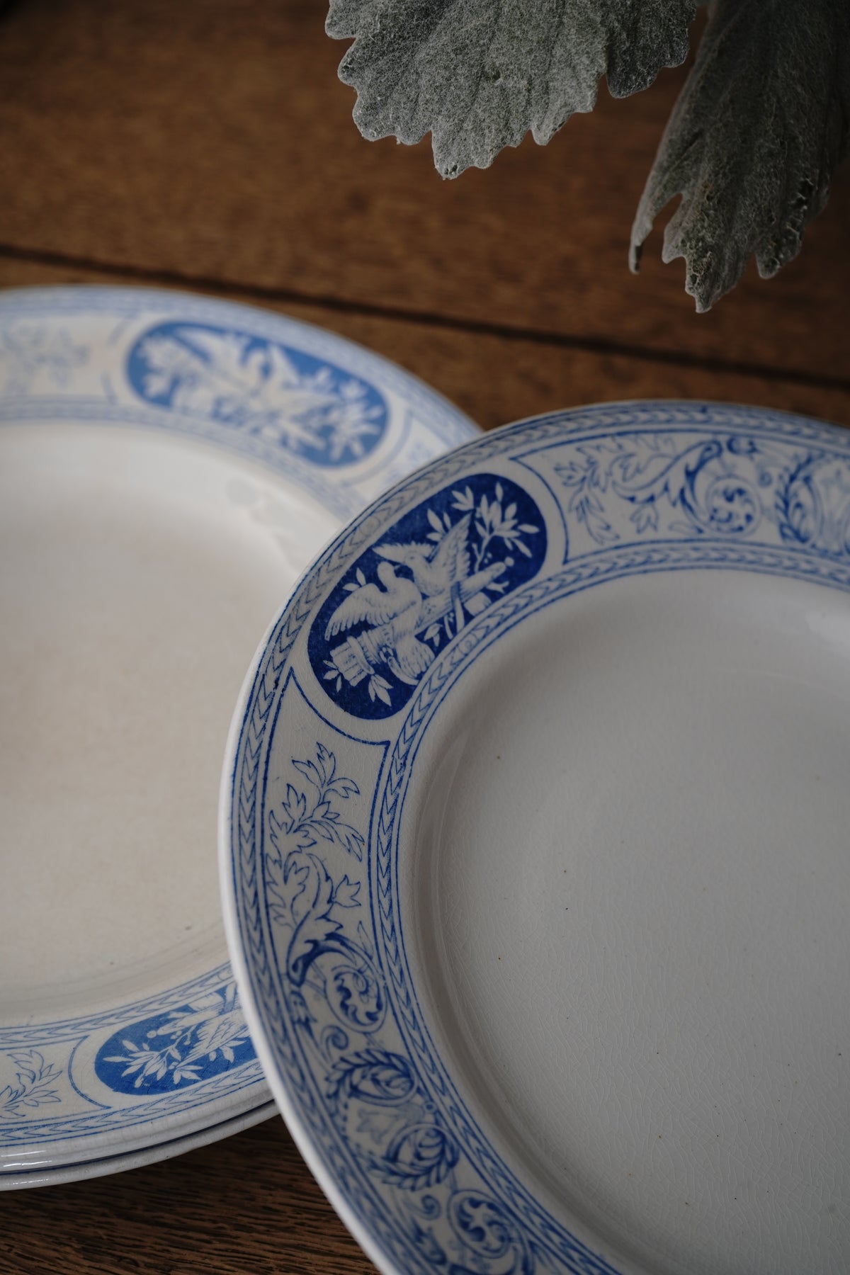 Antique Blue & White Porcelain Bird Plates Circa 19th c. (Set of 8 )