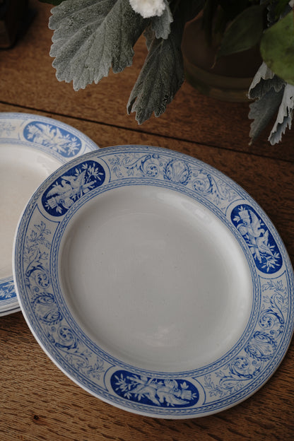 Antique Blue & White Porcelain Bird Plates Circa 19th c. (Set of 8 )